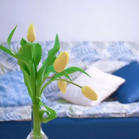 Mallorca Summer Apartment